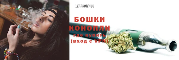 PSILOCYBIN Абинск