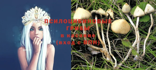 Альфа ПВП Алзамай