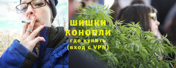 сатива Алексеевка