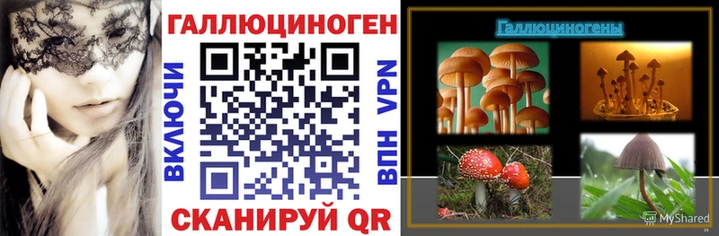 Псилоцибиновые грибы мицелий  Инсар 